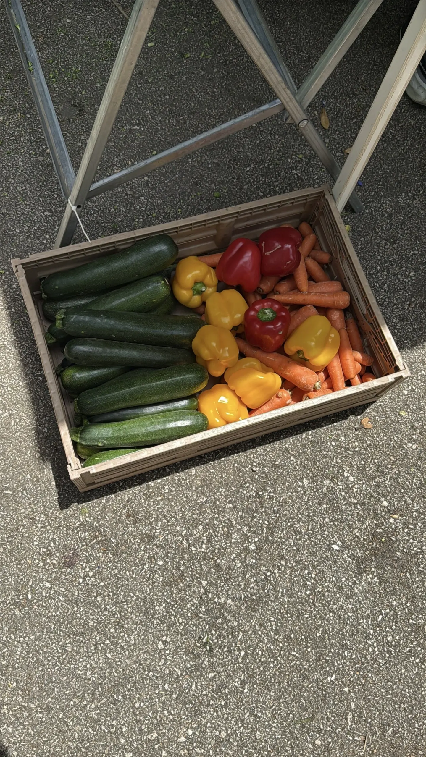 Vegetables